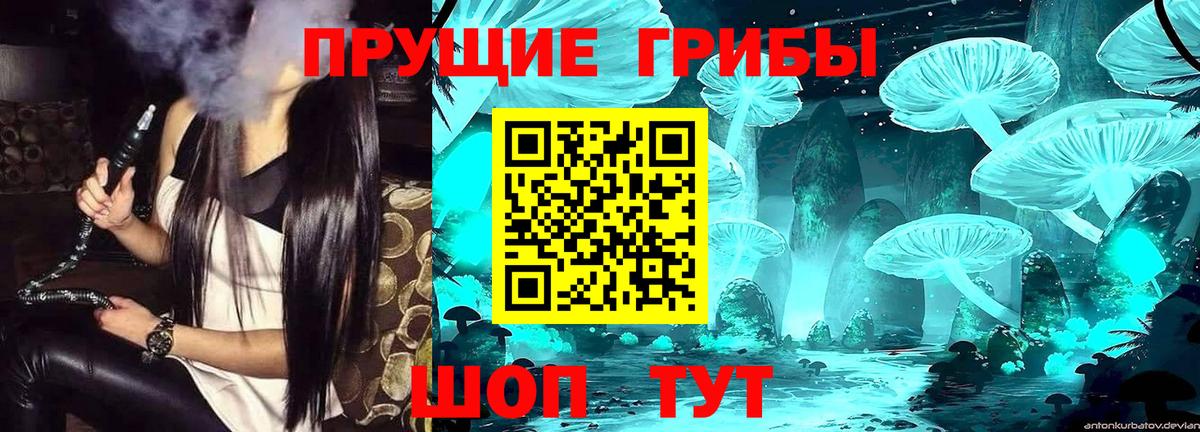 Псилоцибиновые грибы ЛСД  Псилоцибиновые грибы ЛСД  где купить наркотик  Кинель  Вход с VPN 